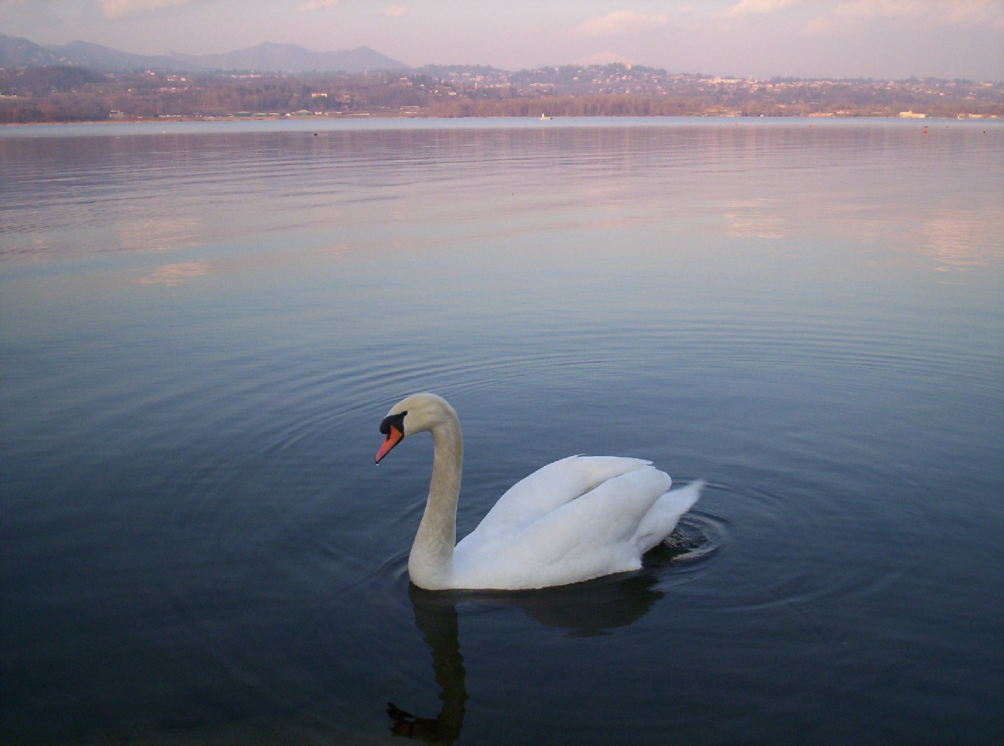 Laghi....della LOMBARDIA